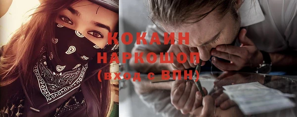 индика Алзамай