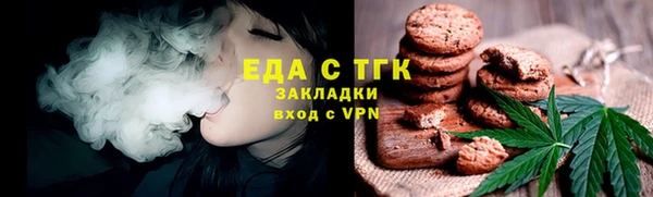 индика Алзамай