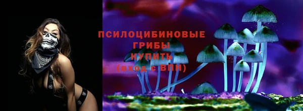 герыч Покровск