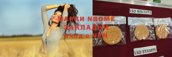 индика Алзамай