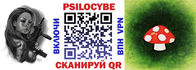 Галлюциногенные грибы MAGIC MUSHROOMS  KRAKEN как зайти  Пучеж  купить наркоту 